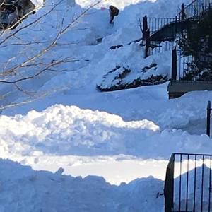 Meet your Posher, Edith